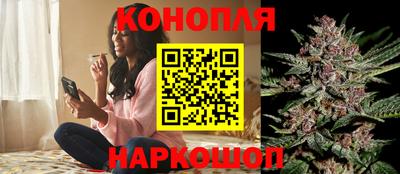 СК Вязьма