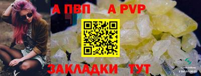 СК Вязьма